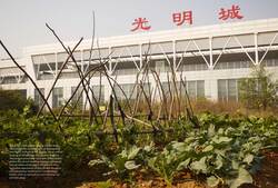 Jiayao Liu - Farming Guangming - Utilizing urban agriculture as a tool to (...)